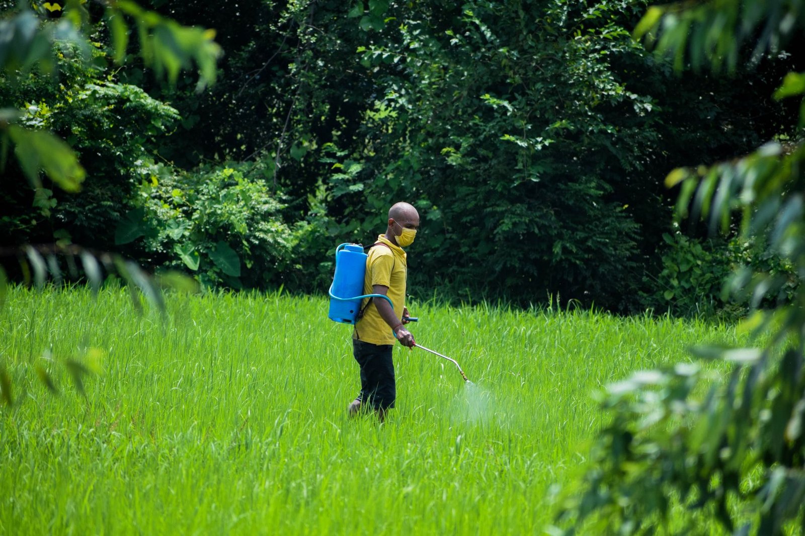 Study Reveals: Common pesticide linked to more than double the risk of Parkinson’s disease