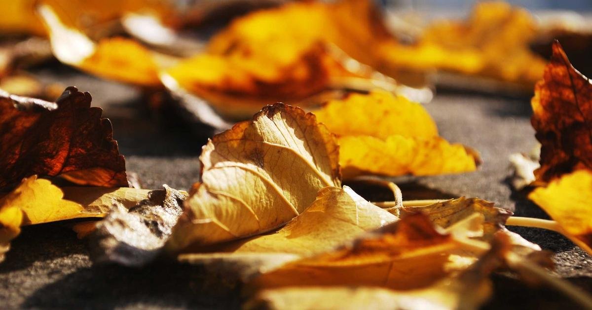 Medical Breakthrough: Scientists found a new Alzheimer’s trigger and a drug that stops it