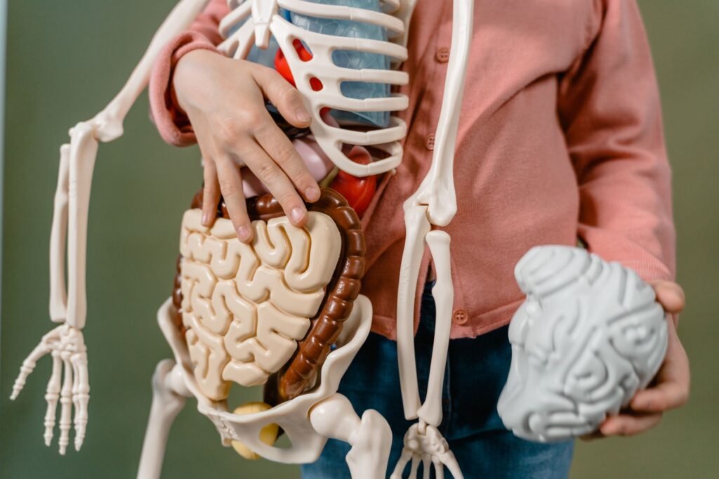 Health Watch: Tubulin prevents toxic brain protein clumps linked to Alzheimer’s and Parkinson’s