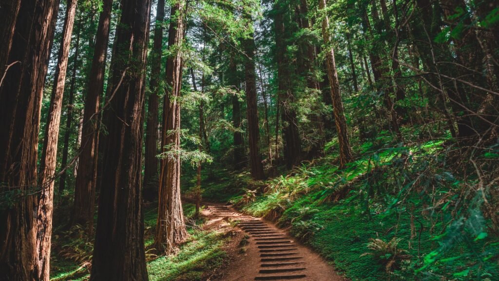 This Changes Everything: AI helps Stanford scientists discover “natural Ozempic” without the usual side effects