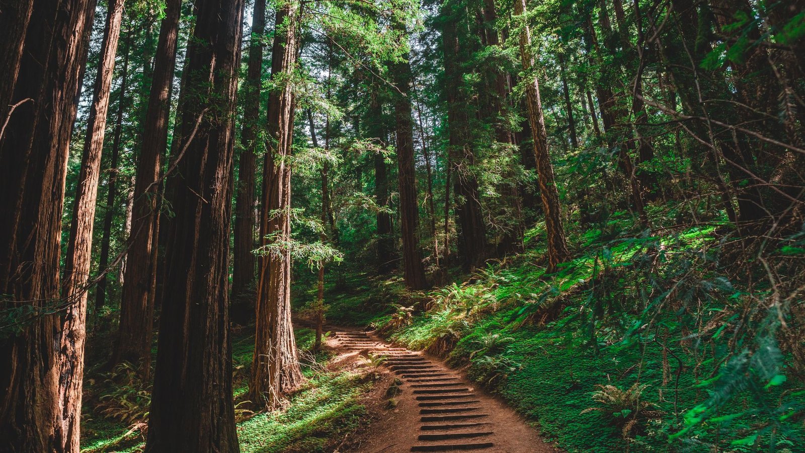 This Changes Everything: AI helps Stanford scientists discover “natural Ozempic” without the usual side effects
