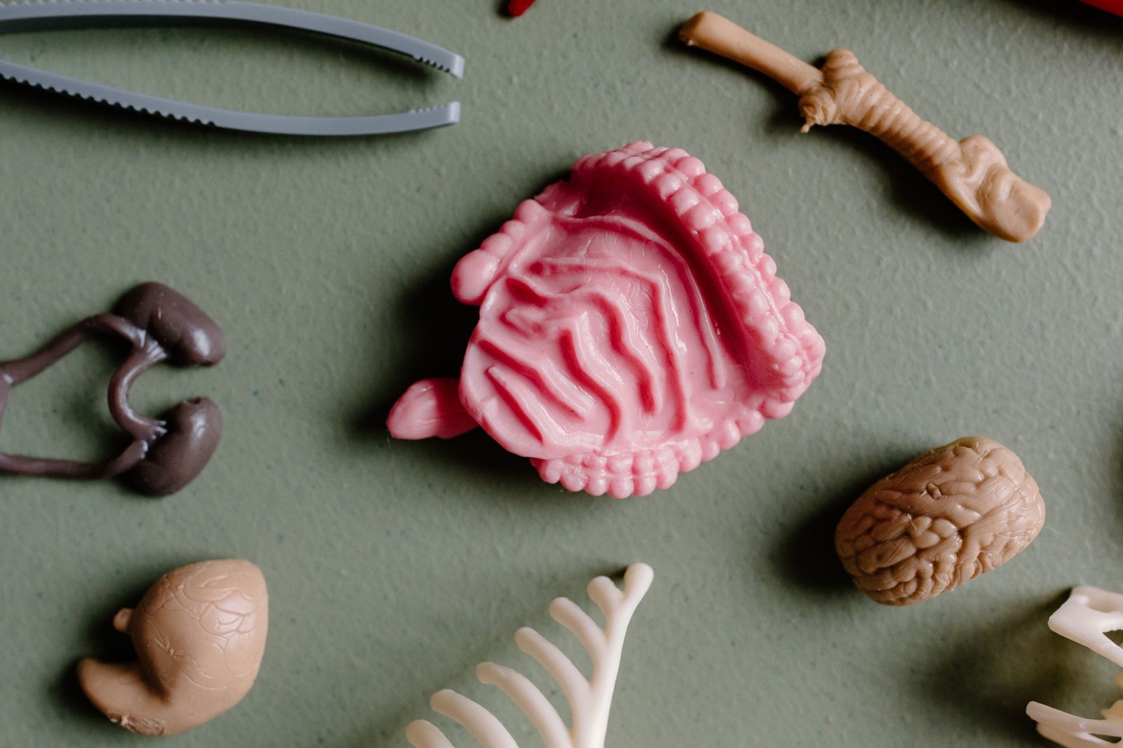 Gut Microbiome