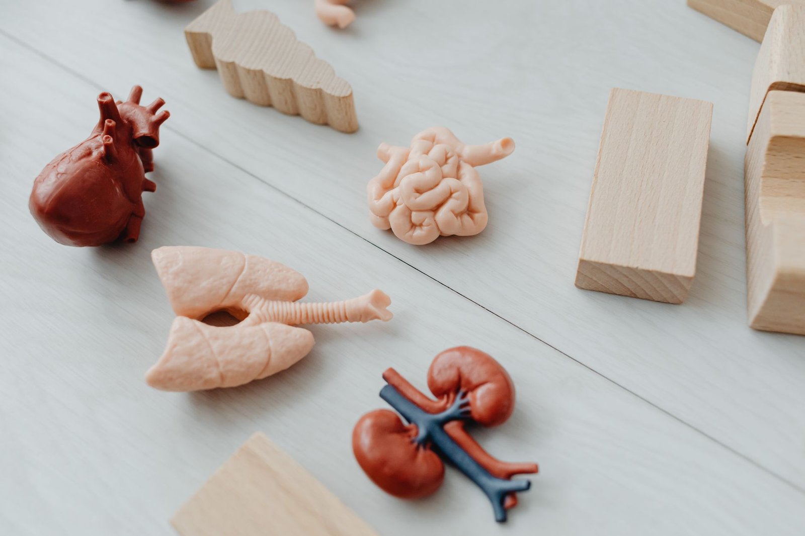 Wellness Report: This drug could help millions keep their kidneys working longer