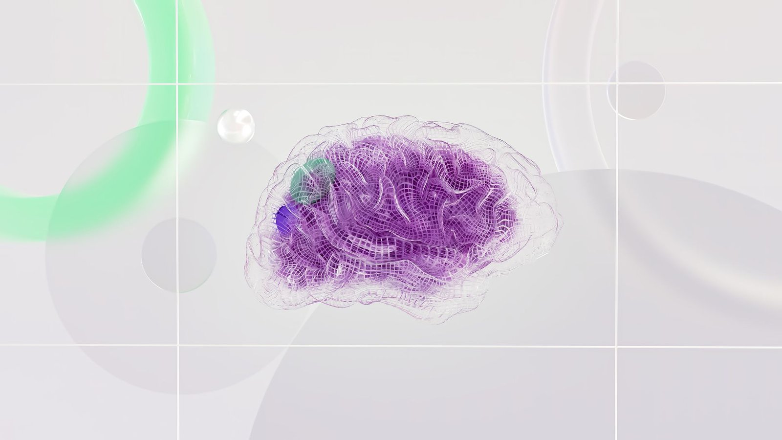 What They Never Told You About Stress Hormone Help Brain