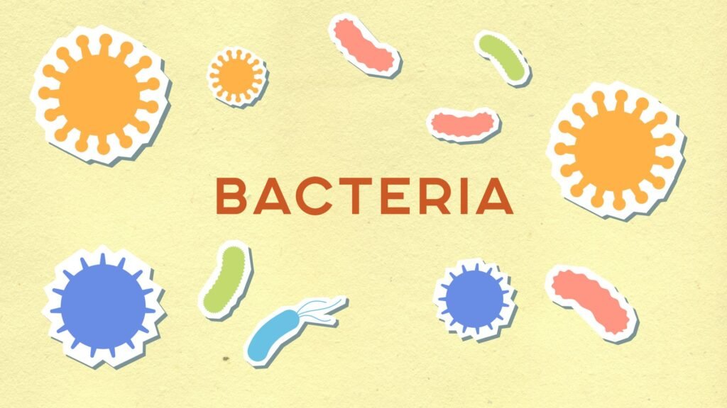 What They Never Told You About Bacteria Unlock Hidden Benefit
