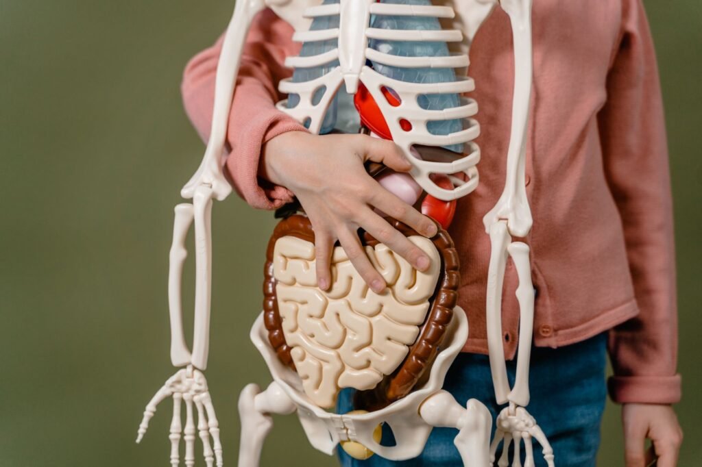 Doctors Are Stunned: Ozempic may have revealed the brain’s hidden “craving center”