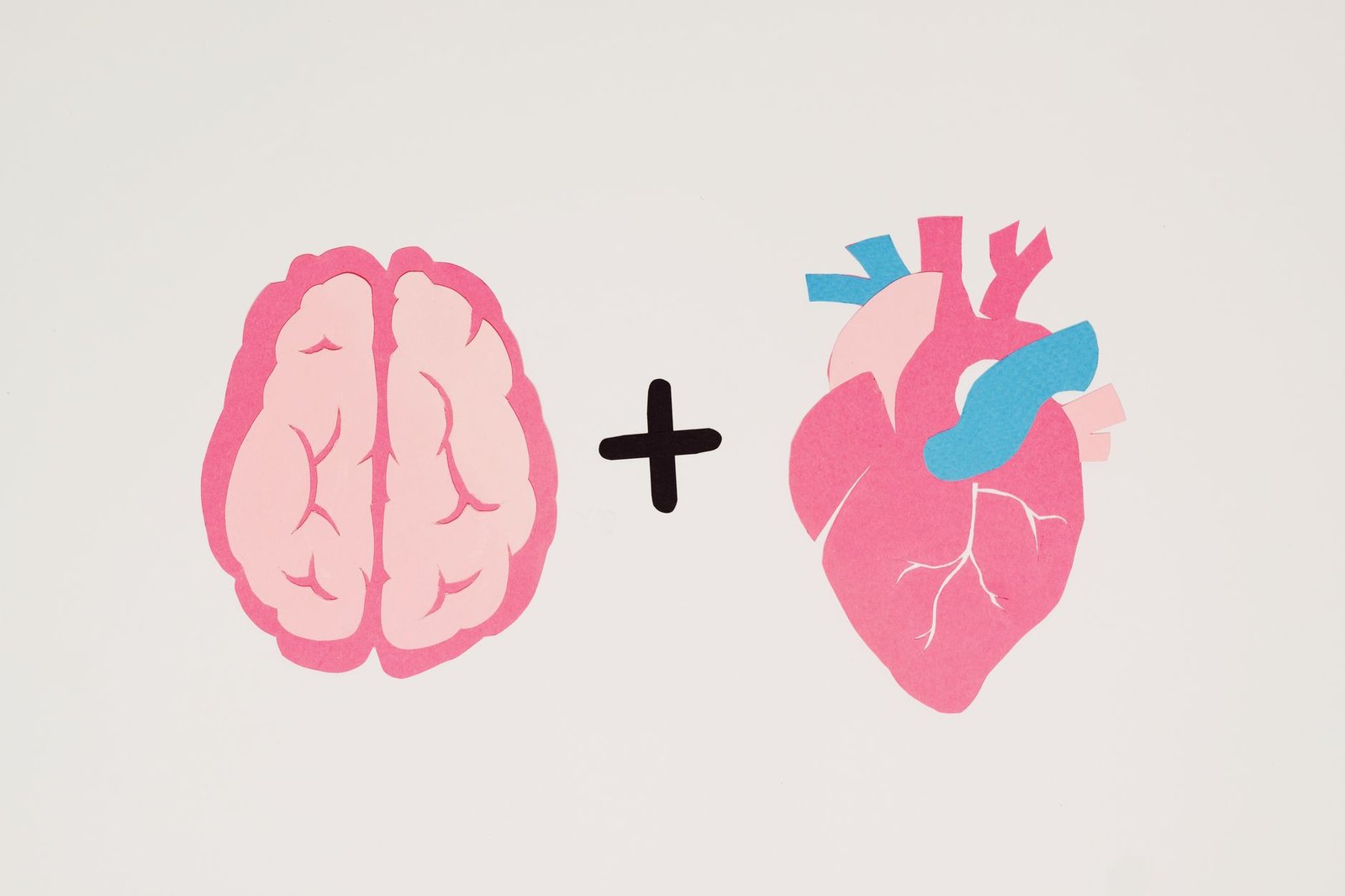 What They Never Told You About Just Days Meditation Rewire