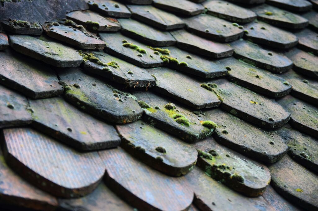What They Never Told You About Shingles Vaccine Linked Lower