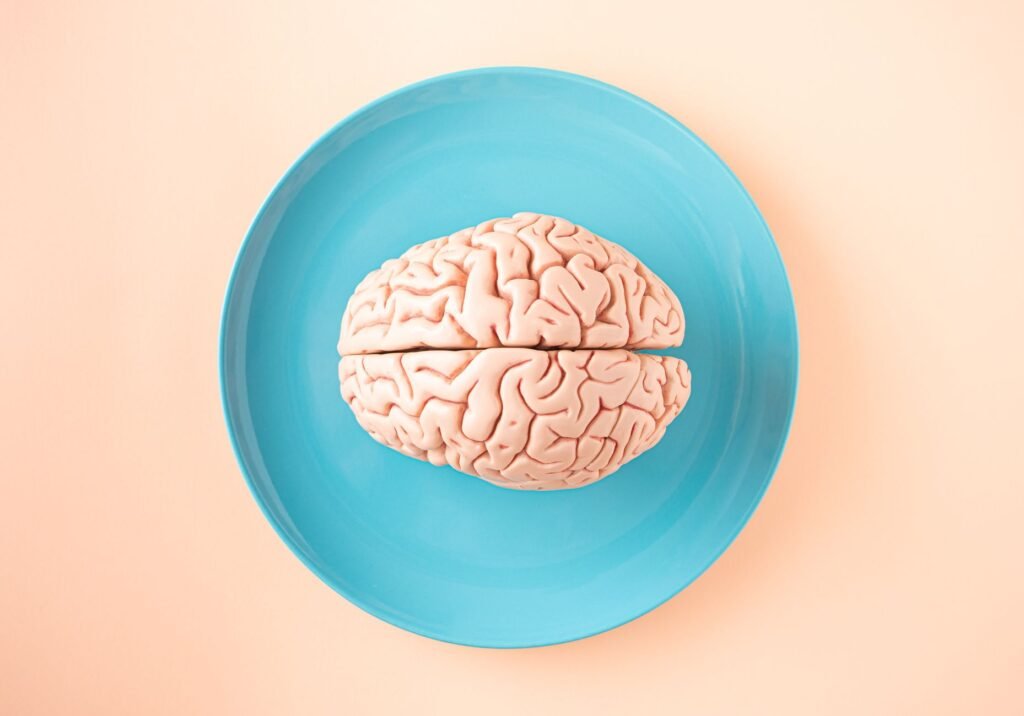 This Changes Everything: The adult brain can repair itself better than scientists thought