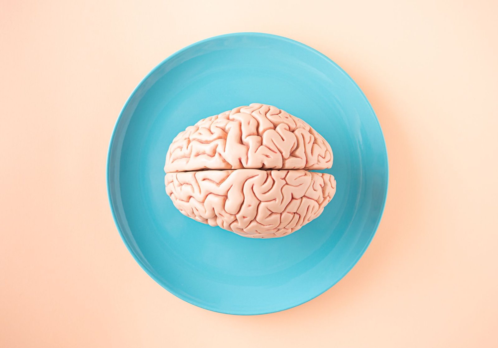 This Changes Everything: The adult brain can repair itself better than scientists thought