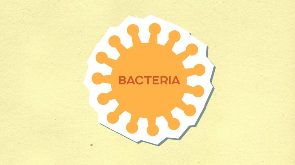 This Changes Everything: The bacteria that make cheese taste so good may also benefit your gut