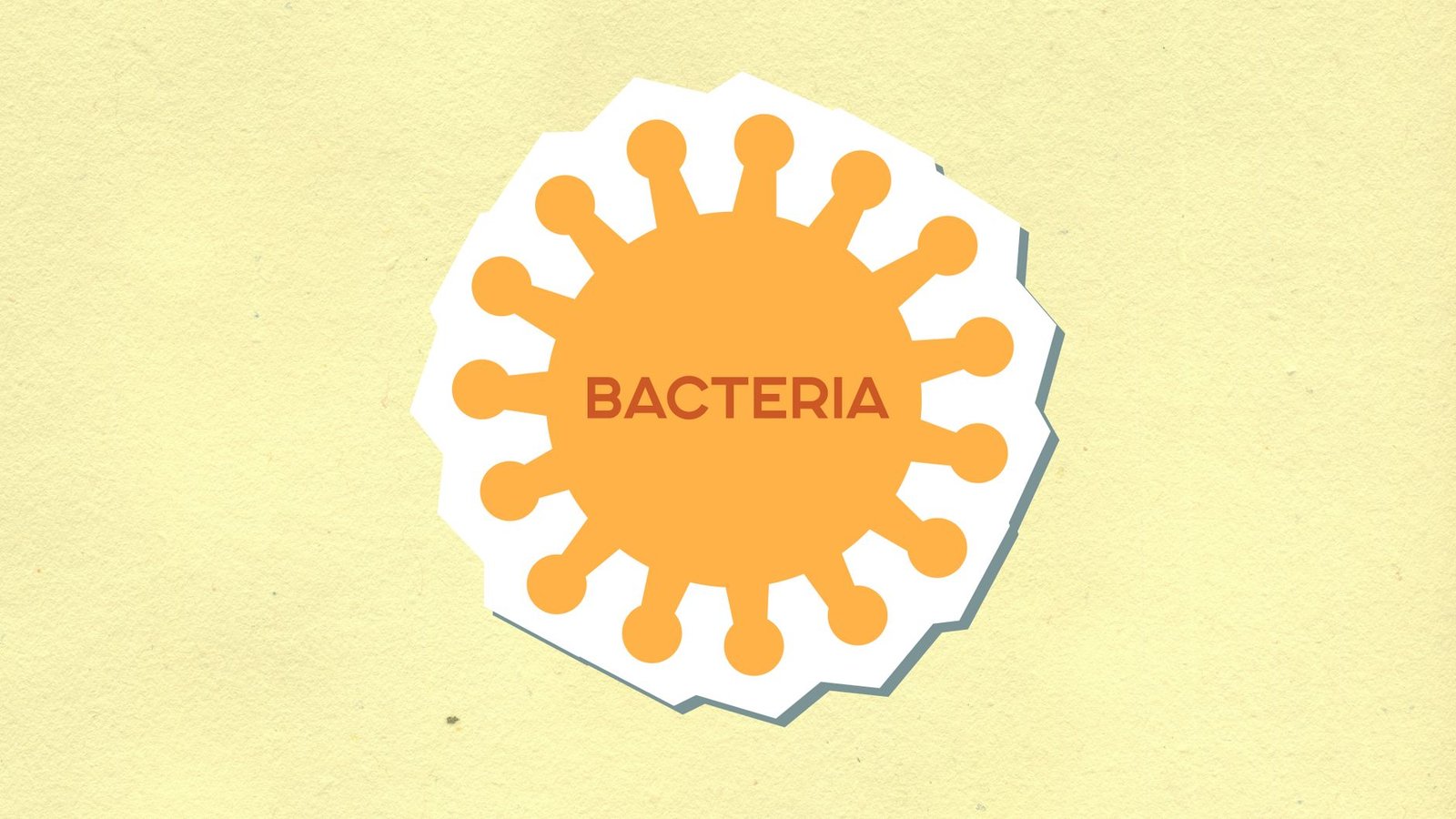 This Changes Everything: The bacteria that make cheese taste so good may also benefit your gut