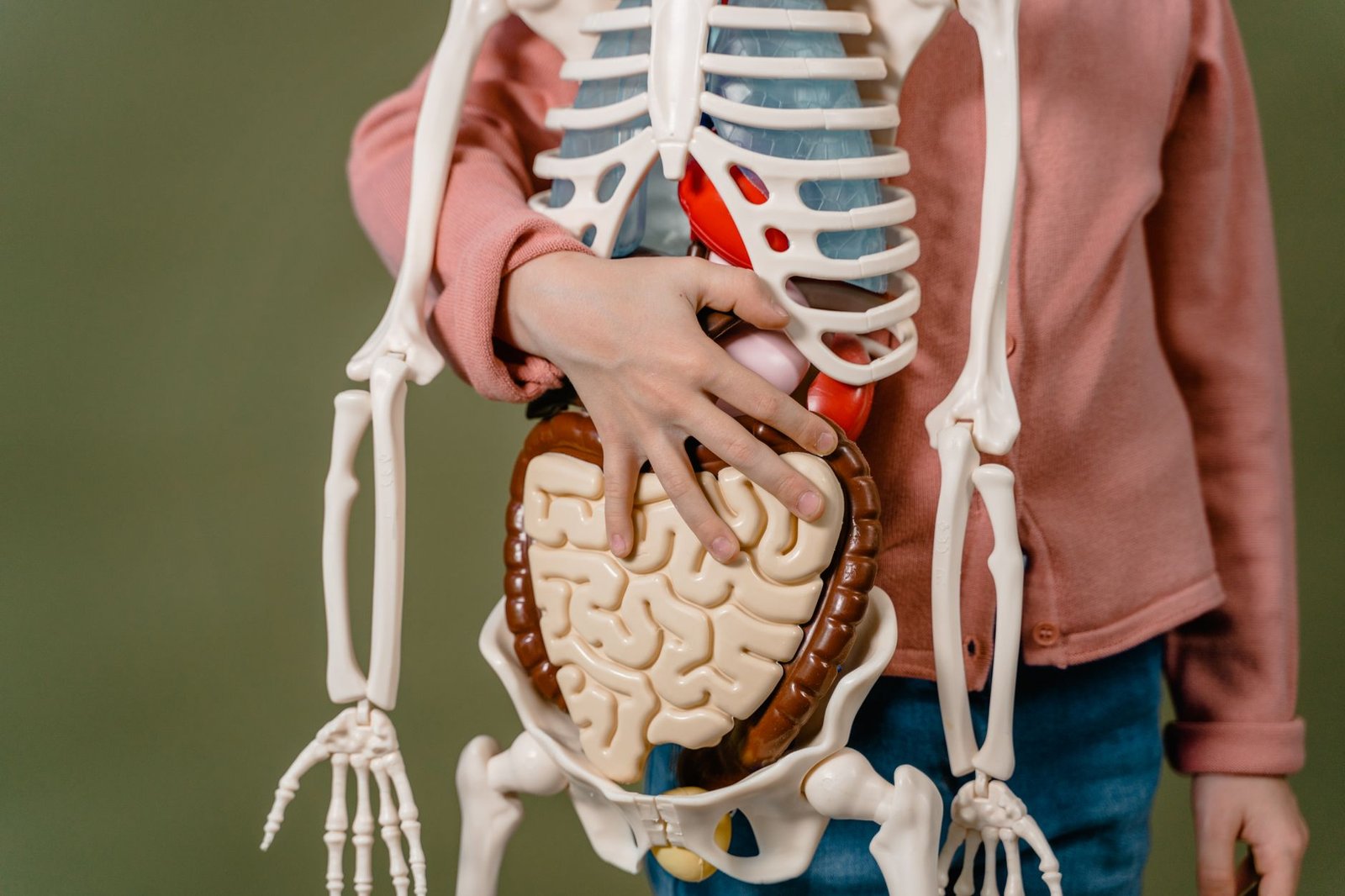 Warning: Your brain may be wired to regain lost weight