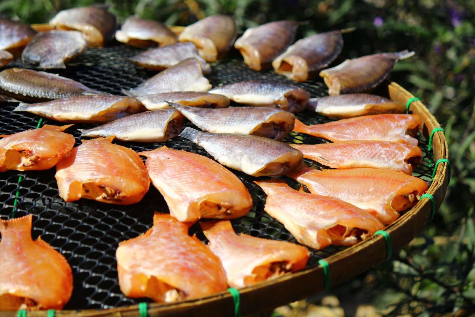What Happens to Your Body When You Stop Eating Stanford Discover Seafood That